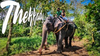 Thekkady  Elephant Ride  Periyar Tiger Reserve [upl. by Saoj956]