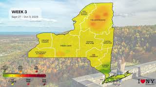 2023 New York State Fall Foliage Map Timelapse [upl. by Magee25]