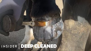 How Horse Hooves Are Deep Cleaned  Deep Cleaned  Insider [upl. by Nitsa752]