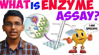 what is enzyme assaywhat is linked enzyme assay [upl. by Atteram235]