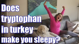 Does tryptophan in turkey make you sleepy [upl. by Yul]