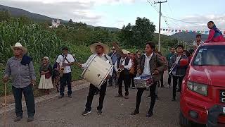 Tampico Hermoso Orquesta Jarillera de Buenavista San Agustín Tlacotepec 🎷🎵🎺🎵 [upl. by Valer605]