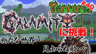 【Calamity Mod】傑作と名高いCalamity Modに挑戦するぞ！ テラリア 第40夜【Terraria 日本語化MOD導入版】 [upl. by Allare226]