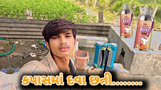 મકાઈમાં દવા છાટી અમેરિકા🌽 how to makaima Dava Chhati America Dodo Aadivasi vlog [upl. by Dunston]