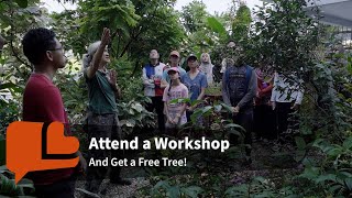 Join Free Tree Society’s Workshops and Help Grow a Greener Sustainable Future for Kuala Lumpur [upl. by Halika]