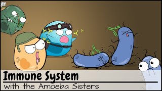 Immune System [upl. by Sheya476]