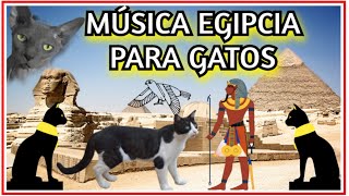 Música Gatos Egipcios Música Egipcia antigua para gatos [upl. by Adelle931]