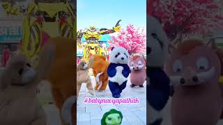 cute panda video panda shorts [upl. by Una]