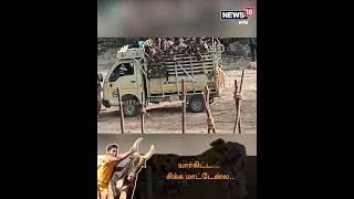 யார்கிட்ட சிக்க மாட்டேன்ல   Palamedu Jallikattu 2023  News18 Tamil Nadu  Tamil News [upl. by Zelazny]