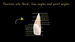 Division into third  line angles and point angles [upl. by Anear]