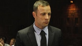 Oscar Pistorius Trial 24 Monday 2014 Session 2 [upl. by Gaylord]