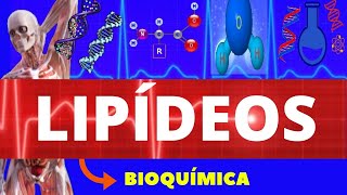 LIPÍDEOS  BIOQUÍMICA ENSINO SUPERIOR  COMPOSTOS ORGÂNICOS  ESTRUTURA TIPOS E FUNÇÕES  LIPÍDEO [upl. by Ayikan]