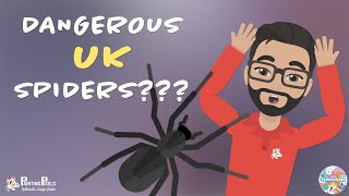 Are UK Spiders Dangerous [upl. by Siri158]