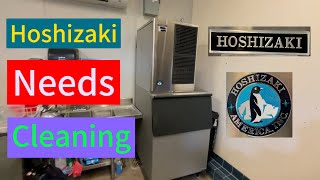 Hoshizaki ice machine cleaning and evaporator scrub [upl. by Haret]