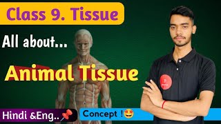 Animal Tissue Class 9 science ch 6 tissueCBSE NCERTHindi Englishtopicsetoptak [upl. by Dasya]