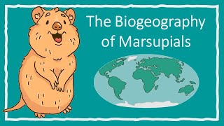 The Biogeography of Marsupials [upl. by Arem]