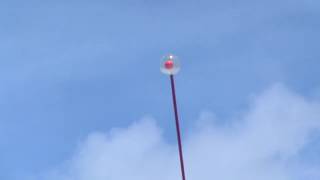 Len Lye sculpture  Wind Wand  Gibbs Farm NZ [upl. by Dianthe]