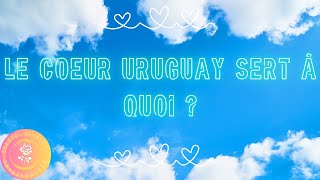 Le Coeur Uruguay sert à quoi [upl. by Farant]