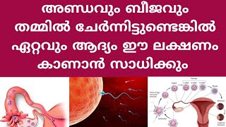 Early Pregnancy Symptoms Deechus world Malayalam [upl. by Tenney855]