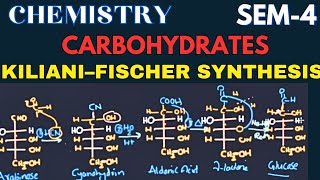 Carbohydrates II Lecture4 II Interconversions1 II Arabinose to GlucoseII Kiliani–Fischer synthesis [upl. by Vacla]