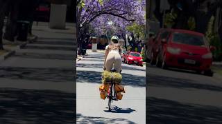 CYCLING INTO THE SPRING cycling cycle bike bikelife roadbike roadcycling [upl. by Anaibib]