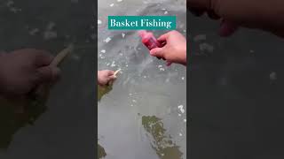 🤣 Basket Fisning Fishing with Normfishingshortsreelsfishing video [upl. by Enelehcim60]