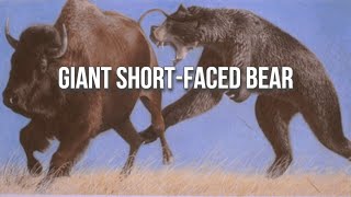 Arctodus The “ShortFaced Bear” is Misunderstood [upl. by Atirahs]