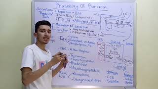 Physiology of Pancreas [upl. by Atteirneh]