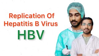 Replication of Hepatitis B Virus HBV [upl. by Easter]