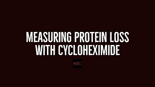 Using Fungicide Cycloheximide to Measure Protein Degradation [upl. by Aleusnoc3]