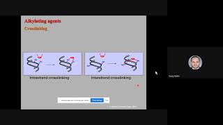 Org 3 Lec 7 Anti Cancer Alkylating agents [upl. by Acilgna715]