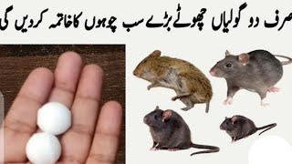 Tablet magic rat killer  best rat killer  homemade rat killer  rat killer at home  rat killer [upl. by Angelique]