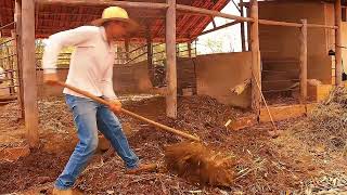 Tutorial de Compostagem Orgânica [upl. by Neenad]