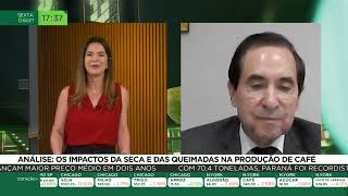 Análise os impactos da seca e das queimadas na produção de café [upl. by Silsby]