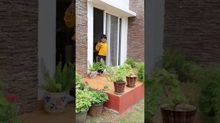 Minivlog on 9122024 🤩10 veedu thalli tha nippashorts shortsfeed home vlog minivlog [upl. by Aidul]