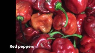 How to cook NigerianTomato stew  Nigerian stew  African dish [upl. by Jerrylee]