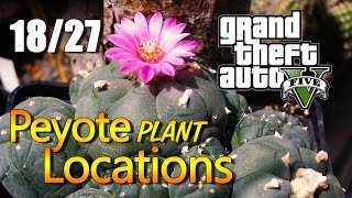 GTA 5  Peyote Plant Locations 1827 [upl. by Armil]