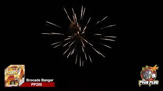 Brocade Banger firework 200g Cake By Pyro Plug FireworksPP299 [upl. by Llenrod]