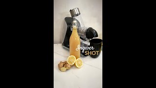 Ingwer Shot Rezept [upl. by Hpesoy156]