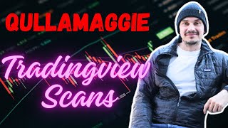 Qullamaggie Scans In Tradingview For Swing Trading [upl. by Yorke]