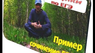 ЕГЭ по русскому языку пример сочинения №2 практика [upl. by Nimaynib]