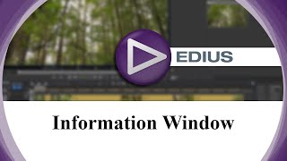 10  Edius Basic Information Window  Edius Tutorials in Tamil Studio11photography [upl. by Adnahs]