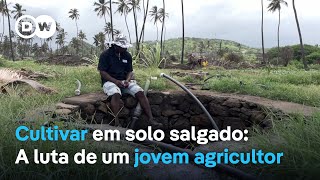 Cultivar em solo salgado A luta de um jovem agricultor em Cabo Verde [upl. by Sihun]