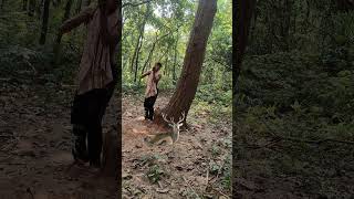 Open deer 🦌 catching 😱youtubeshorts shots trending jangali wildlife videoreels 🦌😱 [upl. by Akirdnwahs]