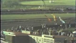 1978 Santa Anita Handicap Vigors Wins The RARE Full Race Version [upl. by Bigelow]