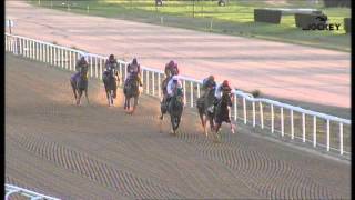 5 Carrera premio Emasesa Metropolitana 5 de noviembre 2015  Gran Hipódromo de Andalucía [upl. by Netta]