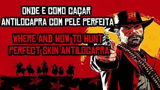 Onde e como caçar Antilocapra com pele perfeita  Where and How to Hunt Perfect Skin Antilocapra [upl. by Anivek]