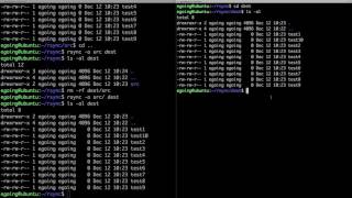 Linux  rsync 1  basic [upl. by Enovaj547]