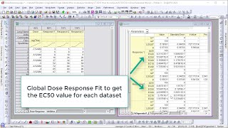 How to compute EC50 C50 in Dose Response fitting [upl. by Ariaes]