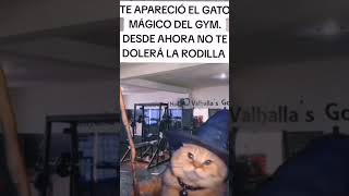 Woosh calistenia comunidadfitness dolorderodilla whoosh fitnessmemes memesgym memefitness [upl. by Nyltak]